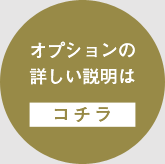 オプションの詳しい説明は