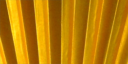 選べる 金/白 大扇子