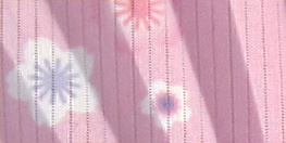 綿生地+デザイン