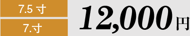 12,000円