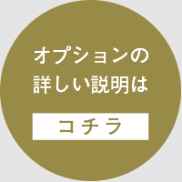 オプションの詳しい説明はこちら