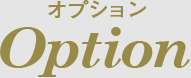 オプション