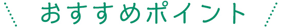 おすすめポイント